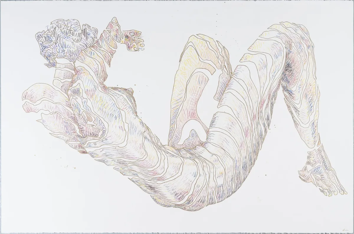 Contours