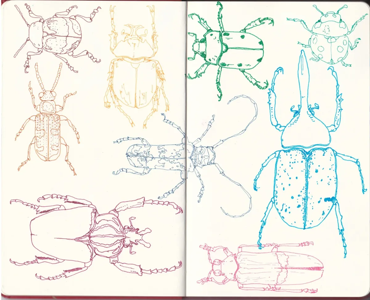 Sketchbook No. 12