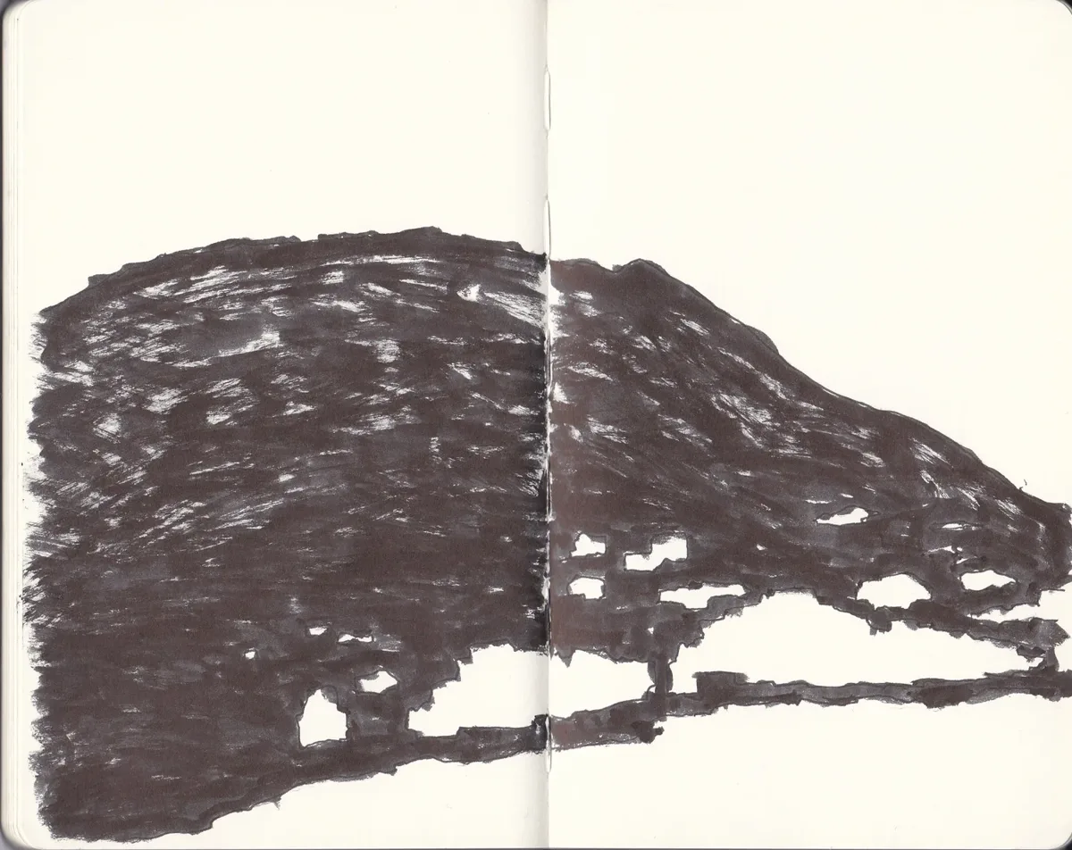 Sketchbook No. 55