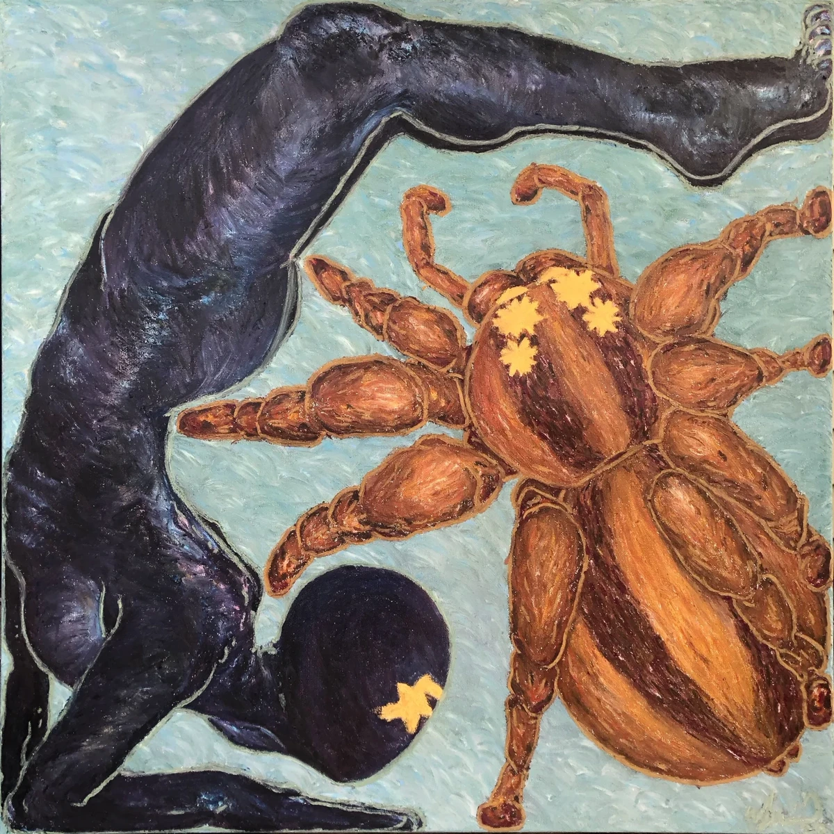Spider