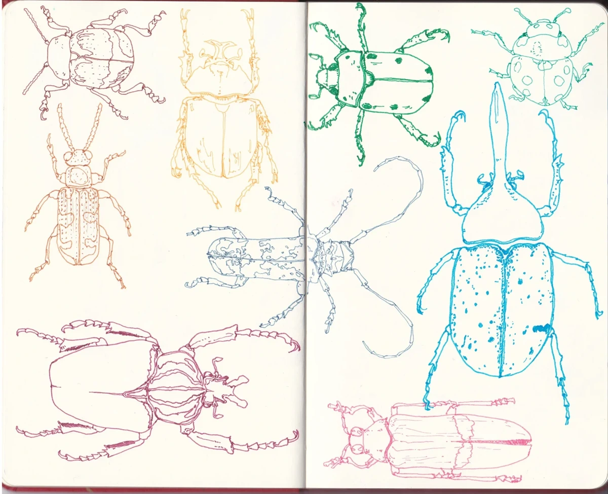Sketchbook No. 12